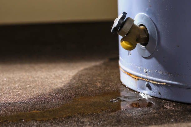 Best Emergency water damage restoration  in Princeton, FL
