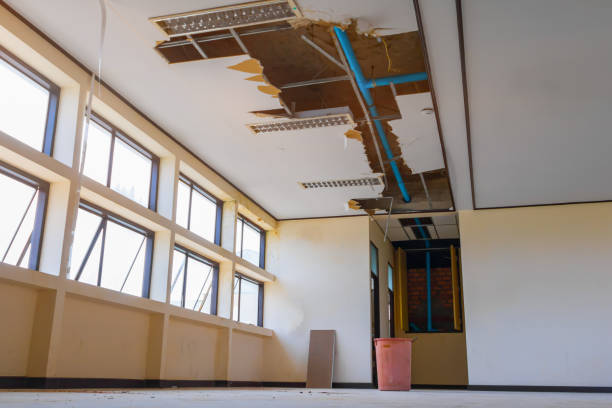 Best Water damage cleanup near me  in Princeton, FL