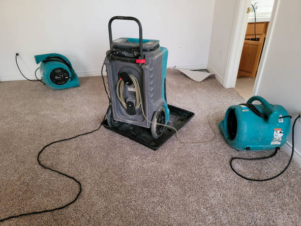 Best Flood damage cleanup  in Princeton, FL