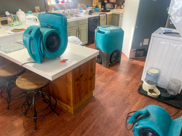 Best Residential water damage restoration  in Princeton, FL