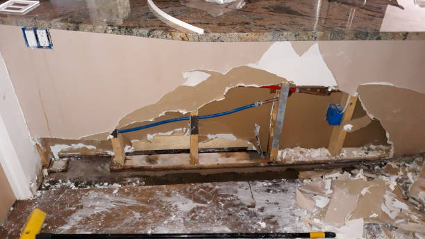 Best Water damage contractors near me  in Princeton, FL