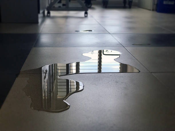 Best Water damage restoration near me  in Princeton, FL