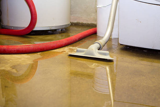 Best Water damage restoration specialists  in Princeton, FL