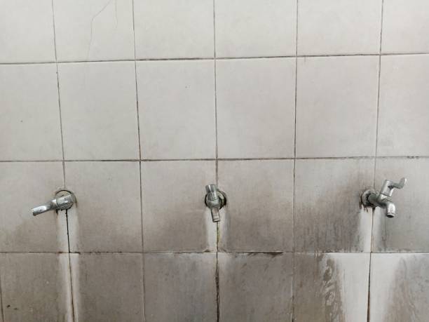 Best Flood restoration services  in Princeton, FL