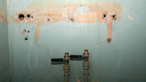 Best Flooded house restoration  in Princeton, FL