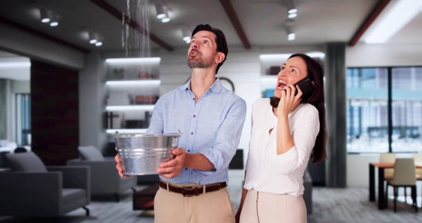 Best Water damage restoration cost  in Princeton, FL